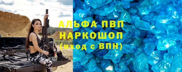 спиды Богданович