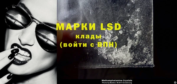 спиды Богданович